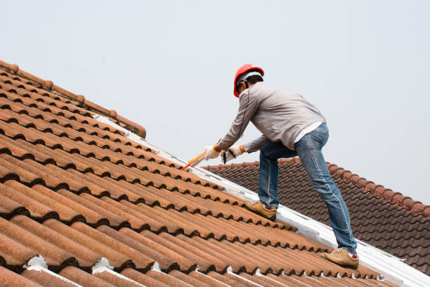 Best Gutter Installation and Repair  in Amherst, TX