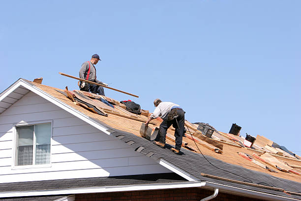 Best Asphalt Shingle Roofing  in Amherst, TX