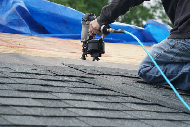 Best Roof Maintenance  in Amherst, TX